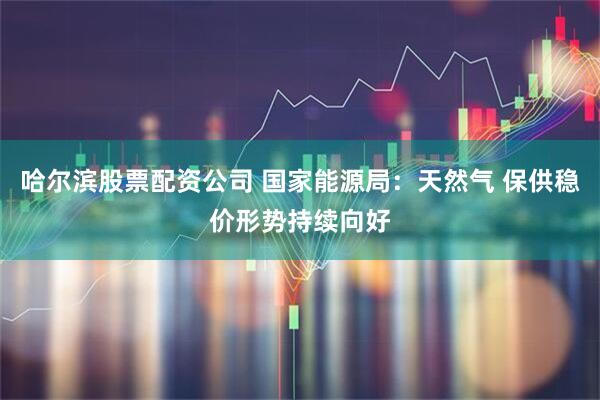 哈尔滨股票配资公司 国家能源局：天然气 保供稳价形势持续向好