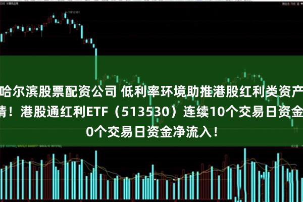 哈尔滨股票配资公司 低利率环境助推港股红利类资产投资热情!港股通红利ETF(513530)连续10个交易日资金净流入!